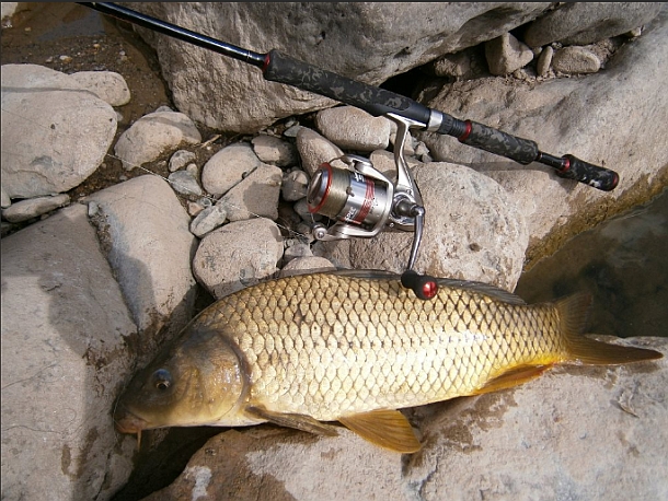 TESTED: Okuma/Fishing World Spec spin outfit